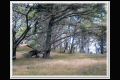 Impressionen 2 Monterey - Pismo Beach (5).jpg